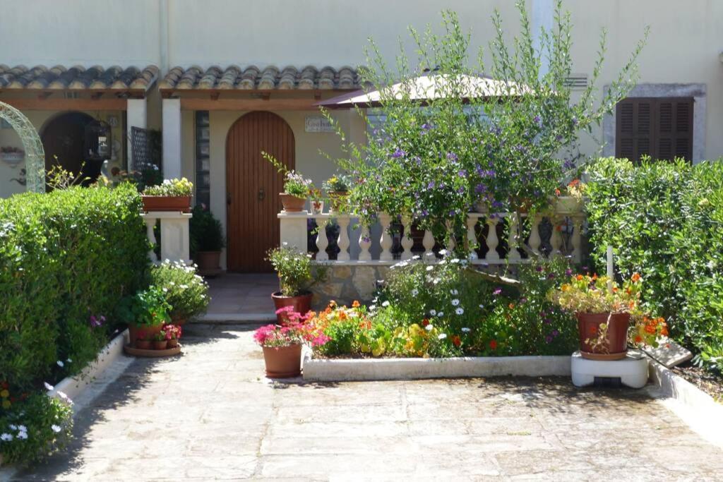 Casa Paraiso Sa Coma (Mallorca) Exterior foto